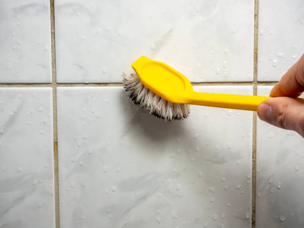 Best Professional Mold Removal  in Bell, CA